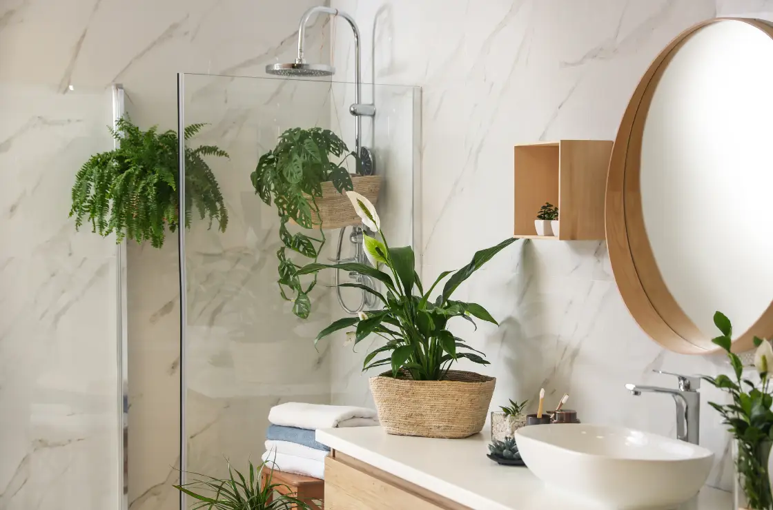 bathroom fixtures to save water - a bright clean bathroom with plants